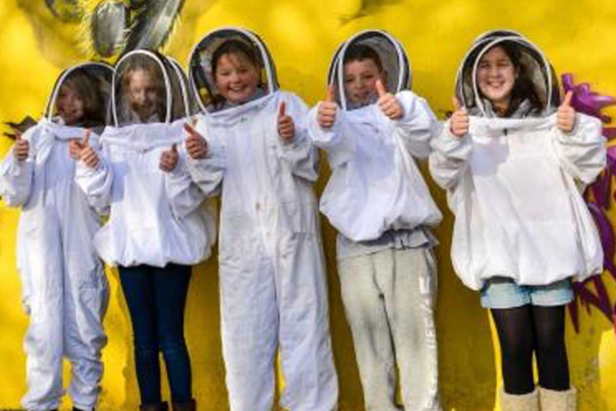 Quince Honey Farm, South Molton, North Devon