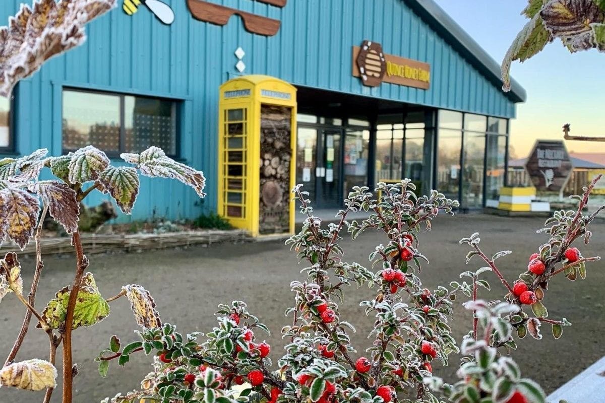 Quince Honey Farm, South Molton, North Devon